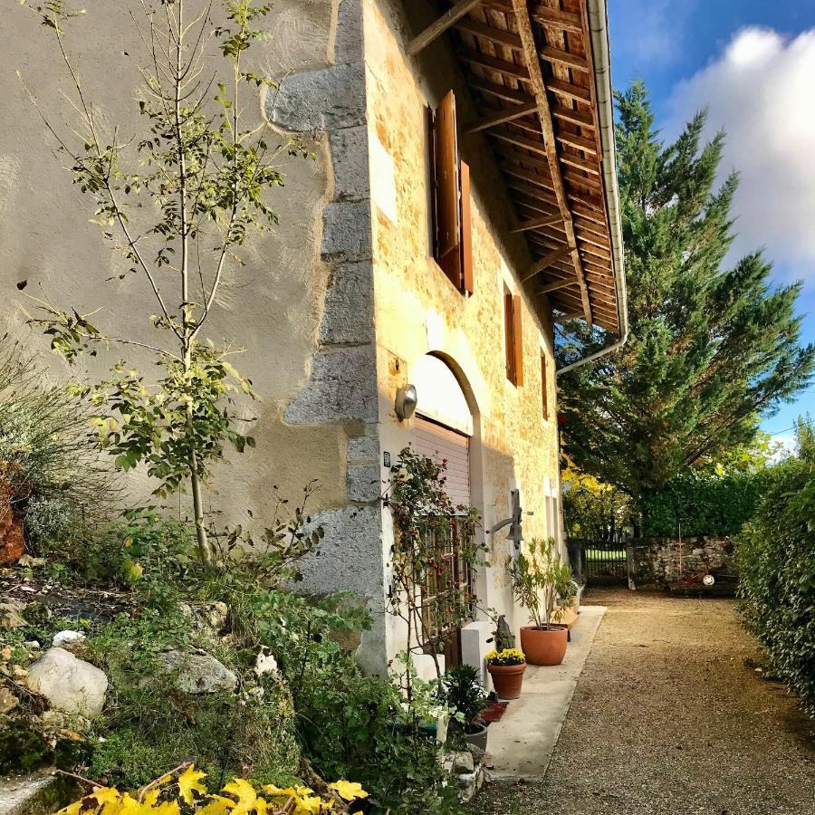 Le Pipapo Apartman Saint-Martin-de-Bavel Kültér fotó