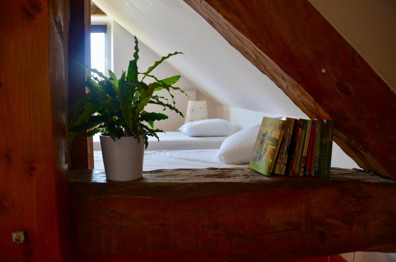 Le Pipapo Apartman Saint-Martin-de-Bavel Kültér fotó